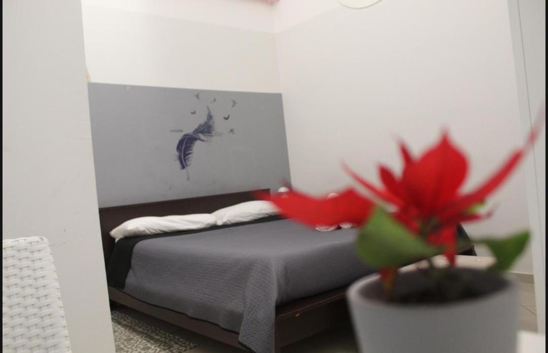 Kimia Home, Centro مودونيو المظهر الخارجي الصورة